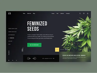 Errors Seeds // Other Main Screen black cannabis clean creativity desktop grean homepage main marijuana minimal product product design ui ux web website weed