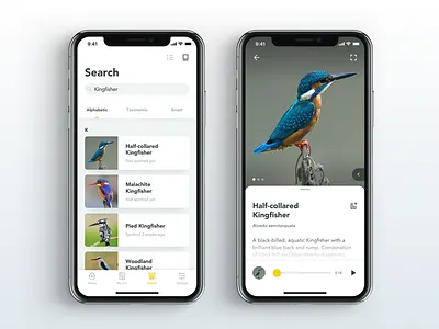 Sasol eBirds App Concept app design concept design graphic design ios iphonex redesign redesign. sketch app sketchapp ui ui ux design ui design uiux ux ux design
