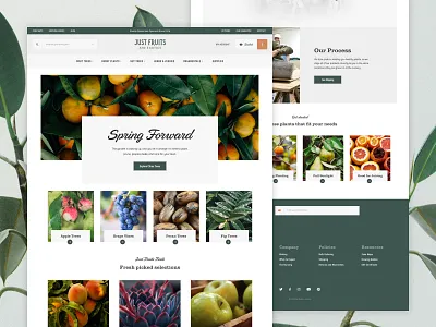 Just Fruits and Exotics Homepage ecommerce fruits homepage interface plants products shopping ui web website