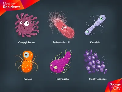 Sponge City bacteria cleaning concept art educational germs health illustration sponge