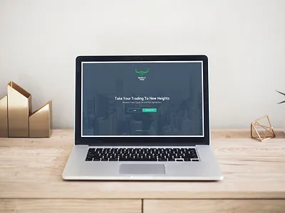 Signalstoro design landing page logo uidesign