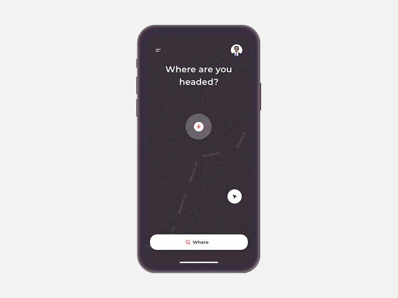 Taxi App agilie animation app design designer experience interface gif illustration interface ios iphonex minimal taxi taxi app taxi driver ui ux