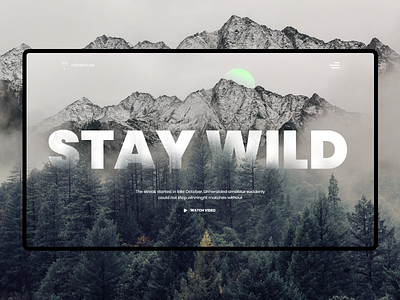 Travel Website - Landing Page blog header clean concept creative ui landing landing design travel travel agency travel blog ui web web design webpage website
