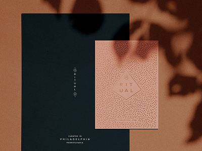 Ritual Branding branding diamond feminine jewelry logo lynx philadelphia ritual