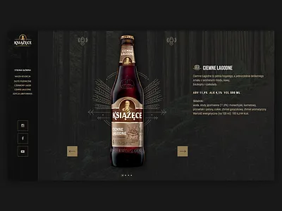 Beer web app beer design icon iconography identity illustration liquid ui ux vector web webdesign