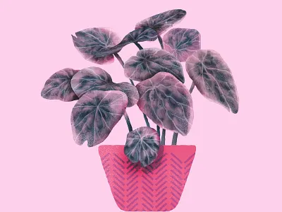 Planters VS Plants 015 artwork cerriteno digital illustration nature plant planter texture