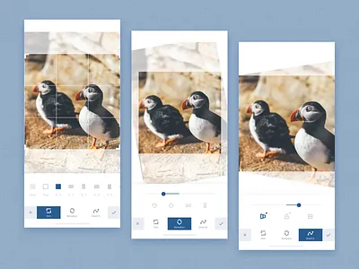 Photo Edit Page app design flat ui