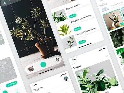 Plants - Plant Recognition App #2 app clean design gradient gradient color gradient design health health app interface minimal plant redesign sketch ui ux