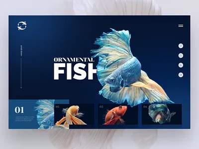 Daily Interface 13 - 30: Ornamental Fish behance design designer dribbble ideas photoshop ui uidesign uidesigner userexperience userinterface ux uxdesign uxdesigner uxui webdesign webdesigner website websitedesign wireframe