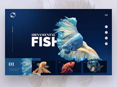 Daily Interface 13 - 30: Ornamental Fish behance design designer dribbble ideas photoshop ui uidesign uidesigner userexperience userinterface ux uxdesign uxdesigner uxui webdesign webdesigner website websitedesign wireframe