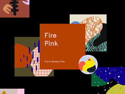 Khroma Week #16-17 Overview Medium brand color colors combination combinations exploration inspiration instagram layout pattern typography