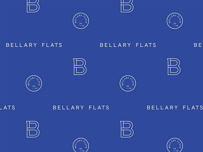 Bellary Flats brand development branding design identity illustration logo mark pattern typography