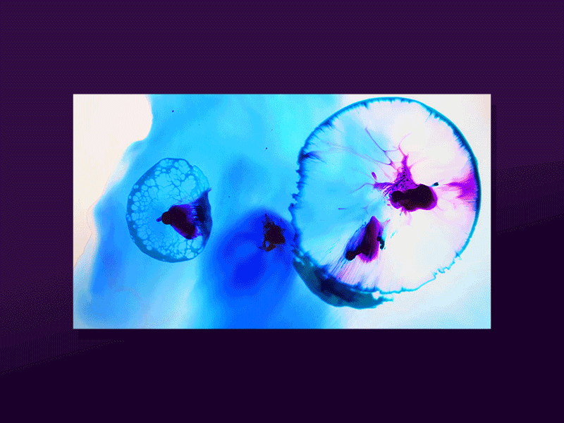 Trippy Title Cards art gala paint title card trippy video