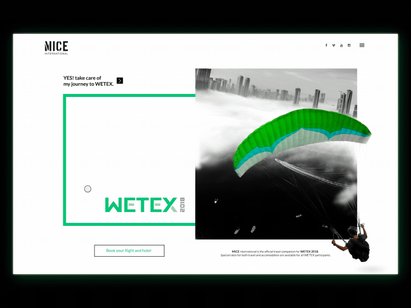 Mice Landing Page animation art concept design gif landing page web