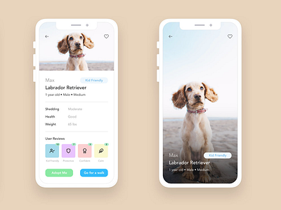 Pet Adoption with "Collar" App adoption animal animal shelter cat dog ios pet adoption pets ui