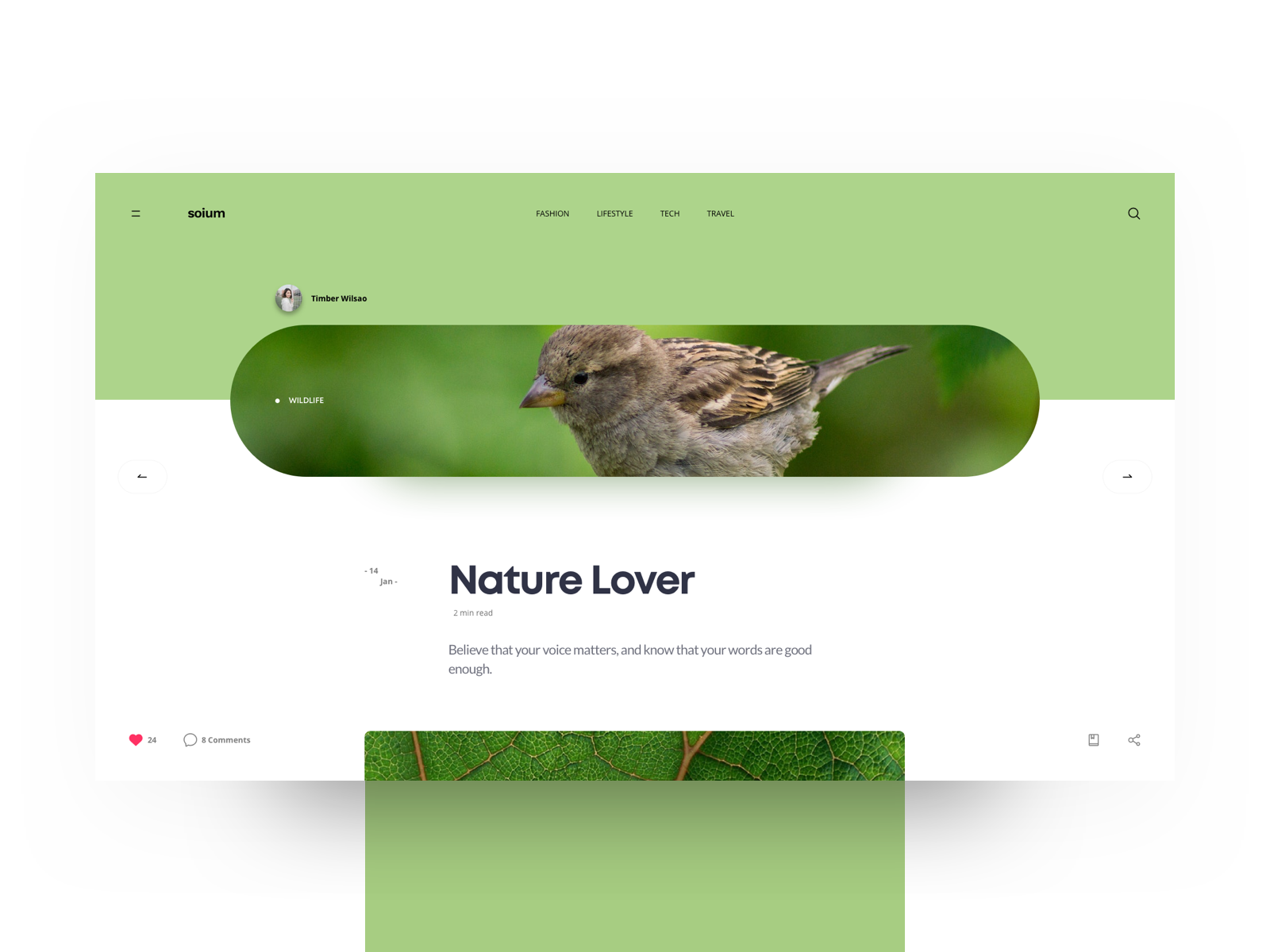 Example of Soium Blog Details Page - Green