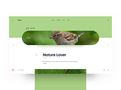 Soium Blog Details Page - Green blog blog design blog graphic blog header clean concept design green header minimal type typography ui ux web website