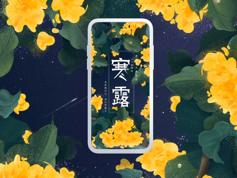 dynamic design art china design dynamic design illustration illustrations ios ui ux 寒露 节气