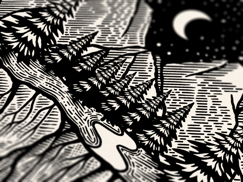 Love And Kuwa Illustration dusan klepic forest heart love moon mountains nature new garden society night path roots wild