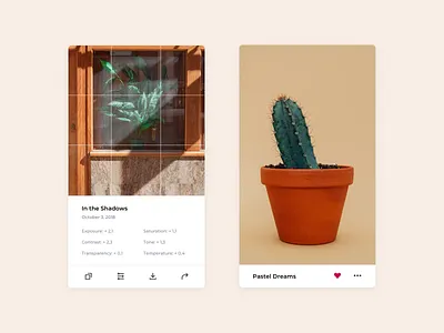 Plant Life 🌵 app clean ui colorful design edit favorite ios mobile neutral photo app photo editing plants sketch ui