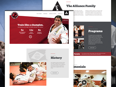 Zicro BJJ Homepage bjj homepage interface layout ui website