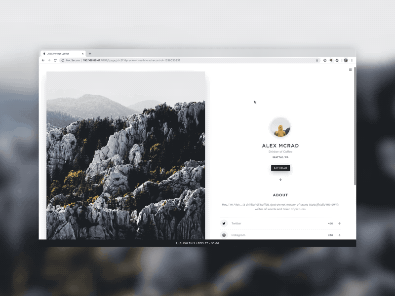 Leeflets Fields css design editor fields forms html landing leeflets page
