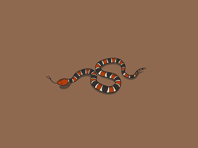 Coral Snake illustration procreate snake texas texture
