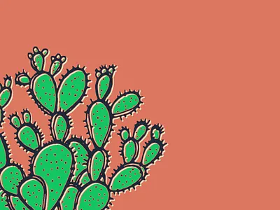 Prickly Pear Cactus cactus desert design drawing illustration landscape mcwhorter prickly pear seth
