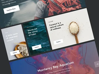 UI Kit minimal photography portfolio responsive typography ui uidesign uikit uikits uiux userinterface ux design uxdesign webdesign website
