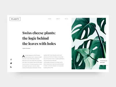 daily UI #035 - Blog Post blog blog design blog header blog post cactus challenge cheese clean daily ui daily ui 035 daily ui challenge dailyui magazine nature philodendron plant plants swiss text typography