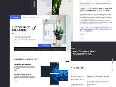 Dr.Naji Home accordian color design ui ux web webdeisgn webpage website white