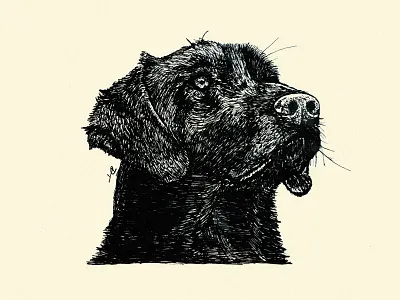 Lab hand drawn illustration ink line art lines