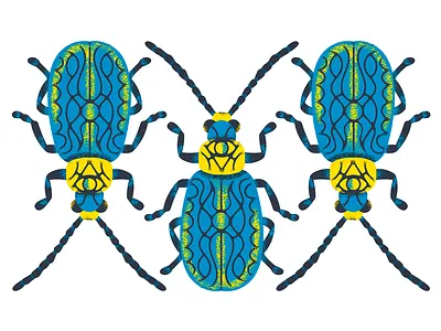 Beetle Illustration beetle color illustration sticker texture pack wip