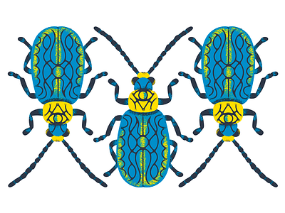 Beetle Illustration beetle color illustration sticker texture pack wip