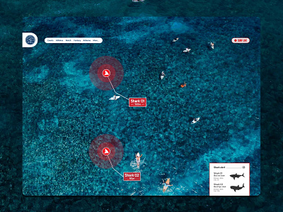 Damn...I think I saw a little shark after effects aftereffects animation app colours dailyui design graphics illustration illustrator motion photoshop ui ux