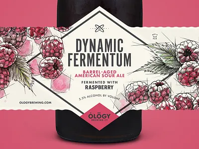 DF Raspberry barrel beer illustration ology raspberry sour