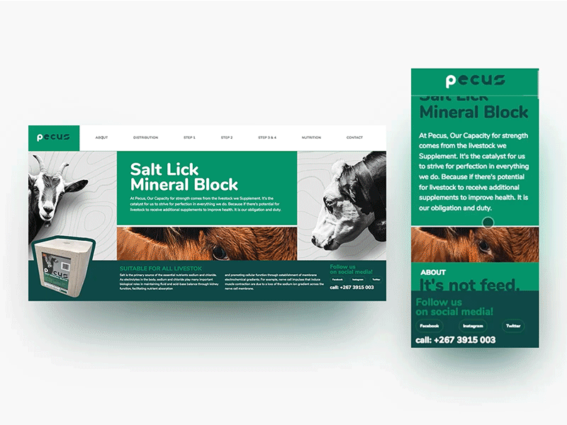 Pecus - Responsive Website Design and Development design e commerce home interface landing logo minimal mobile page product shop site store ui ux web website