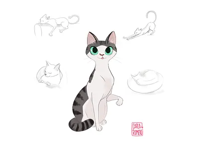 Cattitude actitudes animals cat cats illustration illustrator poses studio