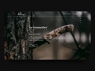 Perceval Landing Page adobe xd design interface ui ux web website