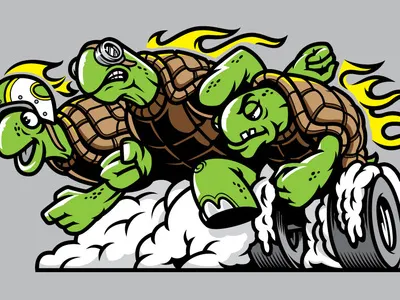 Turtle Racing hotrod racing running speed sprint turtle