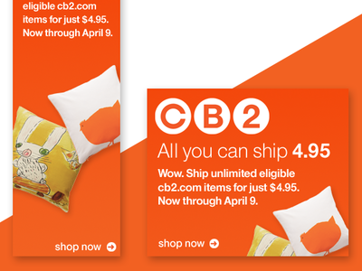 CB2 Social art direction banner social