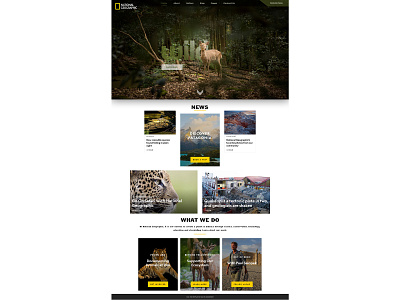 NATIONAL GEOGRAPHIC WEBSITE DESIGN - 2018 design flat graphic art graphic arts logo minimal modern nationalgeographic nature simple typography ui web web design webdesign website website banner website concept website creator wild