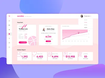 Sociable Dashboard dashboard dribbble graph important instagram interface media social ui ux