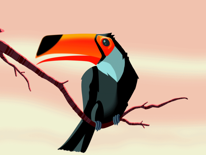 Tou-can 2d aftereffects animation joystick n sliders logo motiondesign rigged toucan