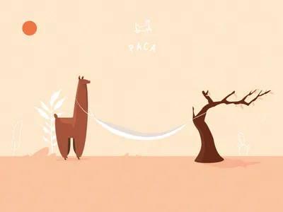 Paca Illustration branding illustration logo