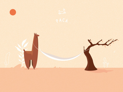 Paca Illustration branding illustration logo