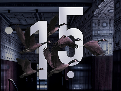 15 design