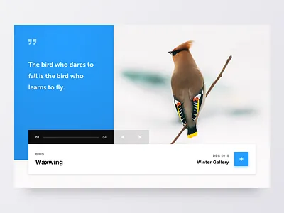 Bird Gallery 2d branding clean colours design flat ixd logo marketing minimal typography ui ux web website