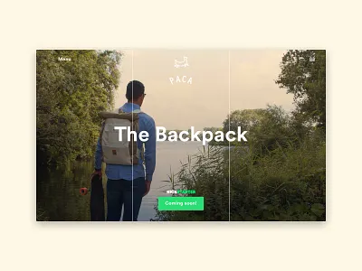 Paca Landing page branding clothing design photography ui