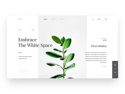 .anti-dark website exploration android clean dashboard ios landing page layout minimal plant rubber simple ui ux website